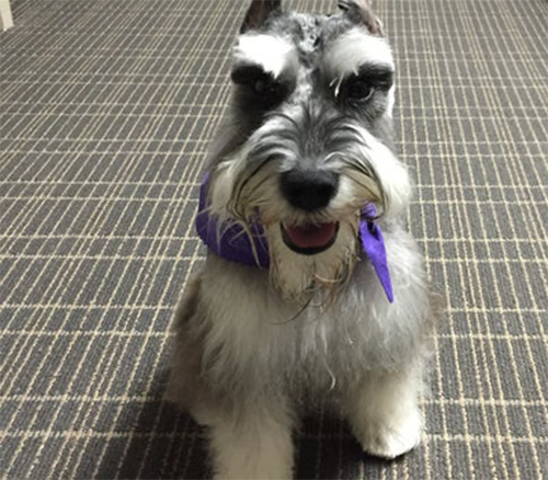 Fritz Jones, Head of Security & Official Greeter